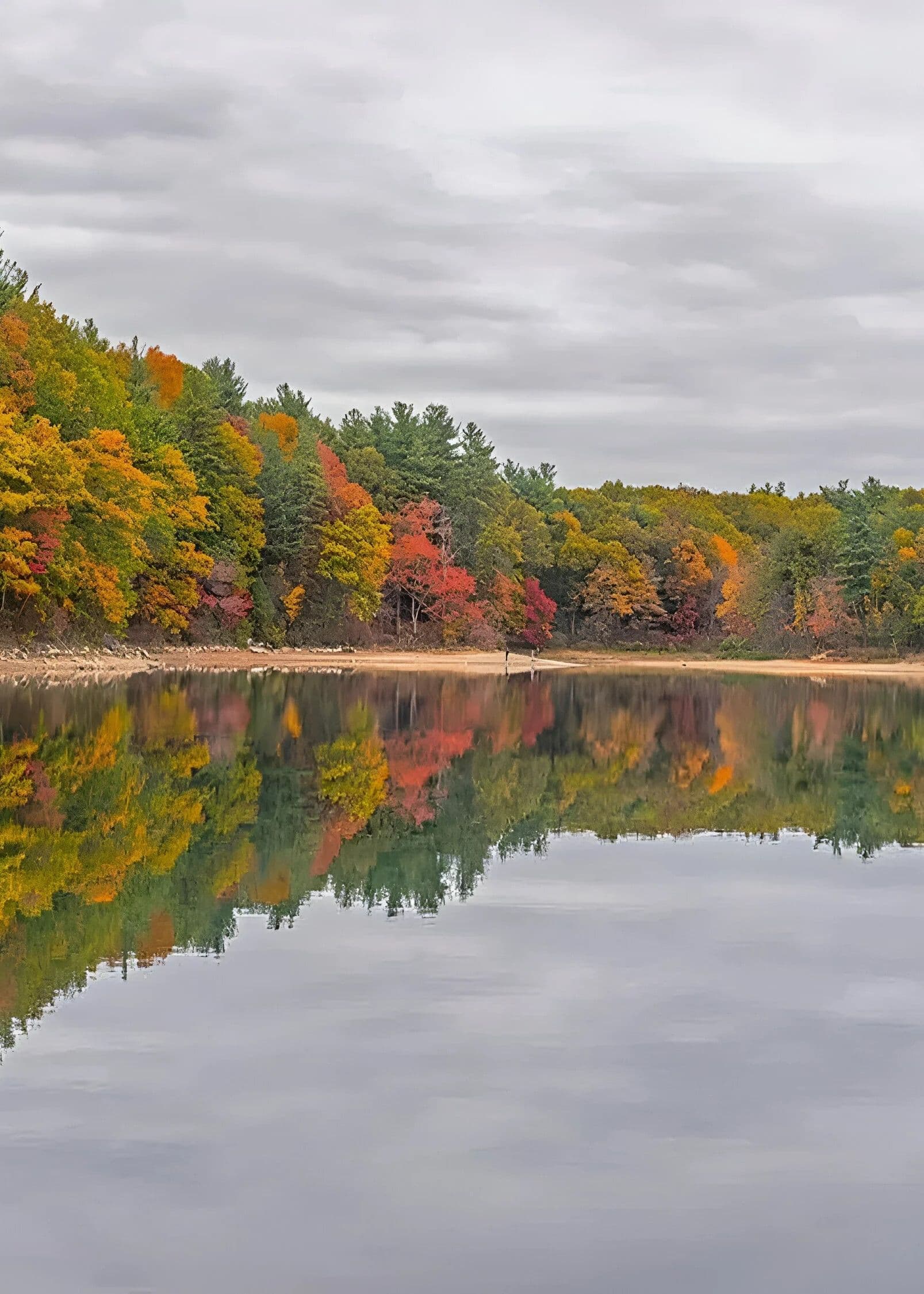 a lake during fall season