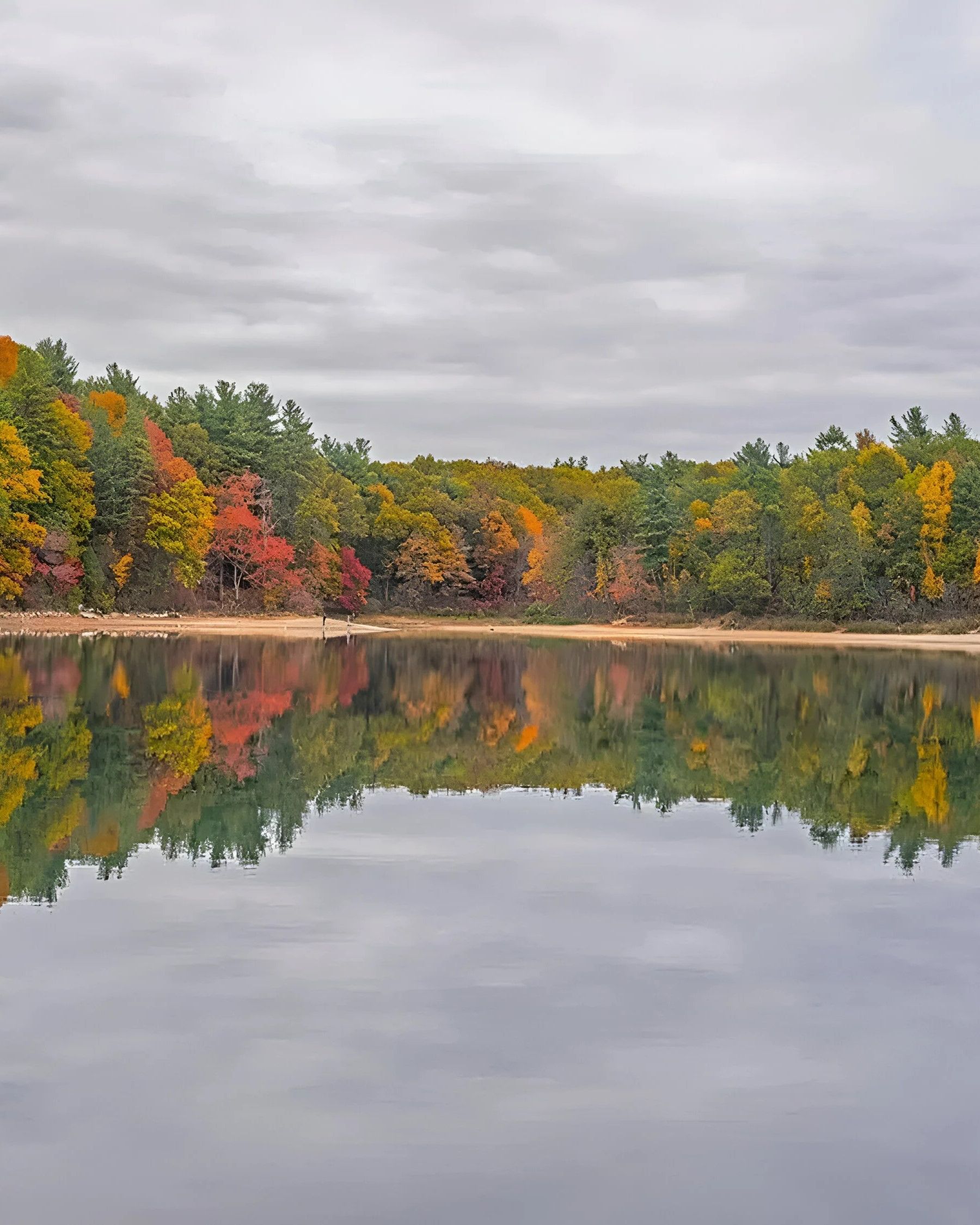 a lake during fall season